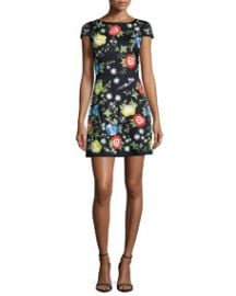 Alice and Olivia Ellen Short-Sleeve Embroidered Dress Multi Colors at Neiman Marcus