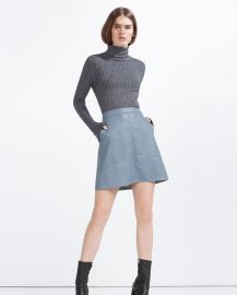 Aline Leather Skirt at Zara