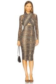 Aliyah Printed Midi Dress at Revolve