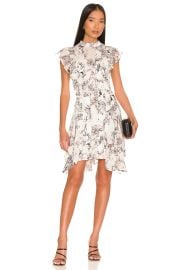 All Saints Fleur Buruberu Dress at Revolve