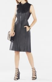 Allexandria Faux Leather Dress at Bcbg