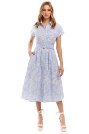 Allison NY Aiden Dress in Blue White at Allison NY