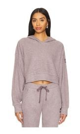 Alo Muse Hoodie In Raisinette Heather at Revolve