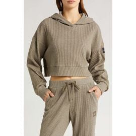 Alo Muse Rib Crop Hoodie at Nordstrom