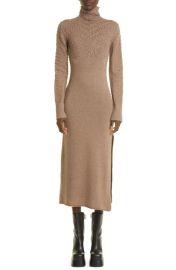 Altuzarra Brimlad Embroidered Long Sleeve Turtleneck Midi Sweater Dress at Nordstrom