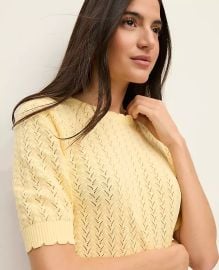 Ann Taylor Pointelle Sweater Tee in Sun Soaked at Ann Taylor