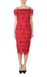 Anthea Crawford Cherry Lace Dress at Anthea Crawford