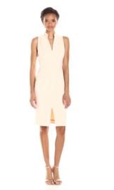 Antoinette Sleeveless Sheath Dress by Black Halo at Amazon