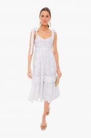 Antonella Dress at Tuckernuck