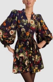 Antonette Long Sleeve Button-Up Minidress at Nordstrom Rack