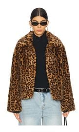 Apparis Elis Leopard Short Coat In Leopard at Revolve