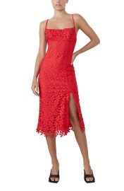 Ariel Leaf Embroidered Lace Dress at Nordstrom