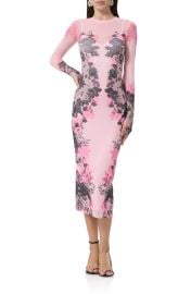 Ashland Print Long Sleeve Mesh Midi Dress at Nordstrom