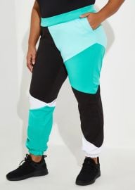 Ashley Stewart Colorblock Joggers at Ashley Stewart