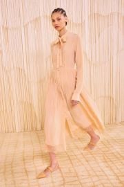 Aviana Long Sleeve Pleated Shirt Dress - Almond - Ulla Johnson at Ulla Johnson