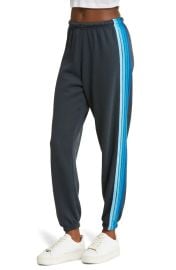 Aviator Nation Stripe Sweatpants in Charcoal Green at Nordstrom