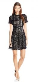 BB Dakota Petite Adelina Lace Fit N Flare Dress at Amazon