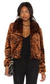 BB Dakota by Steve Madden Leopard Queen Jacket in Rust at Revolve