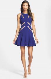 BCBGMAXAZRIA Mesh Cutout Skater Dress at Nordstrom