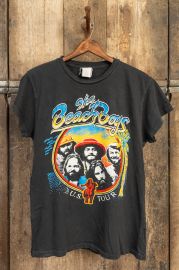 BEACH BOYS ON TOUR 1978 at MadeWorn