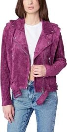 BLANKNYC womens Belted Faux Suede Moto Jacket at Women39s Coats Shop at Amazon