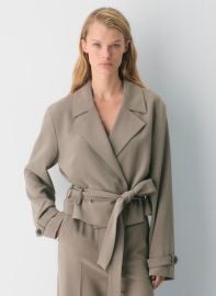 Babaton at Aritzia Postage Trench Coat at Aritzia