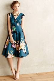 Baikal Dress at Anthropologie