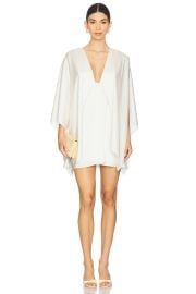 Baobab Pietro Mini Dress In Ivory at Revolve