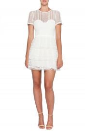 Bardot Ava Lace Minidress   Nordstrom at Nordstrom