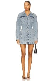 Barrel Long Sleeve Mini Dress at Revolve