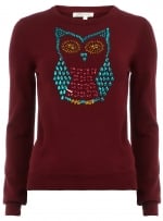 Bejewelled owl sweater at Dorothy Perkins at Dorothy Perkins