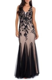 Betsy Adam V-Neck Mesh Embroidered Sleeveless Gown at Nordstrom