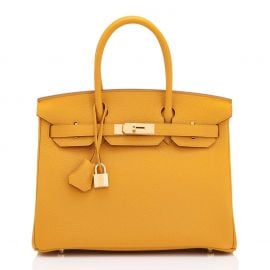 Birkin Bag by Hermes at 1stdibs