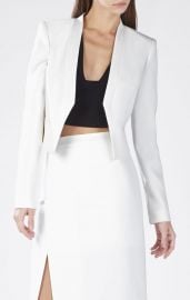 Bren Blazer at Bcbg