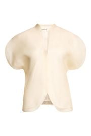 Briar Silk Organza Top at Nordstrom