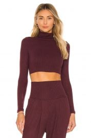 Bridget Crop Turtleneck Top at Revolve