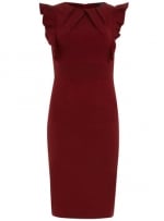 Burguny dress with frill sleeves at Dorothy Perkins