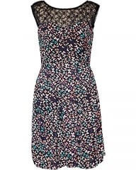 Butterfly print dress by Betsey Johnson at Betsey Johnson