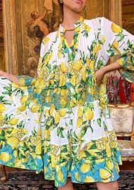 Button Down Dress in Aqua Lemons at eBay