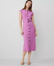 Button Sweater Sheath Dress at Ann Taylor