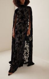 Cape-Detailed Velvet Burnout Gown By Rodarte at Moda Operandi