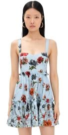 Cara Cara Audrey Dress Botanica Blue 10 at Shopbop