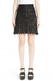 Carven 3D Embroidered Miniskirt at Nordstrom