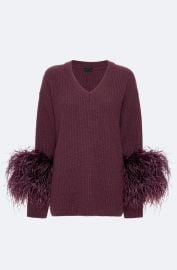 Cashmere V Neck Sweater With Feathers in Mulberry Red LAPOINTE at Lapointe