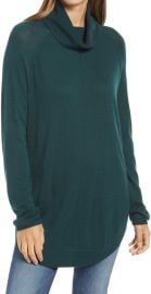 Caslon Turtleneck Tunic Sweater at Nordstrom