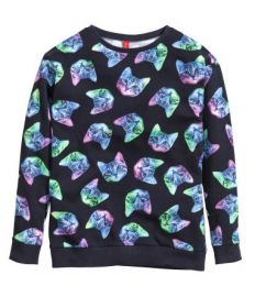 Cat covered sweatshirt at H&M