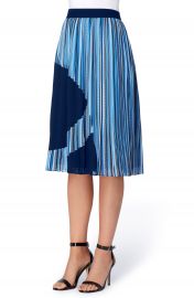 Catherine Catherine Malandrino Francis Pleat A-Line Skirt at Nordstrom