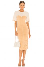 Charleigh Rayon Ruche Dress at Revolve