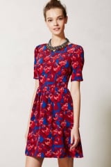 Cheshire dress at Anthropologie