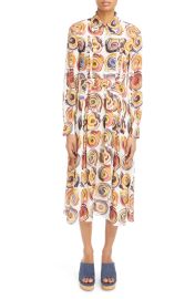 Chloe Spiral Print Long Sleeve Silk Shirtdress at Nordstrom